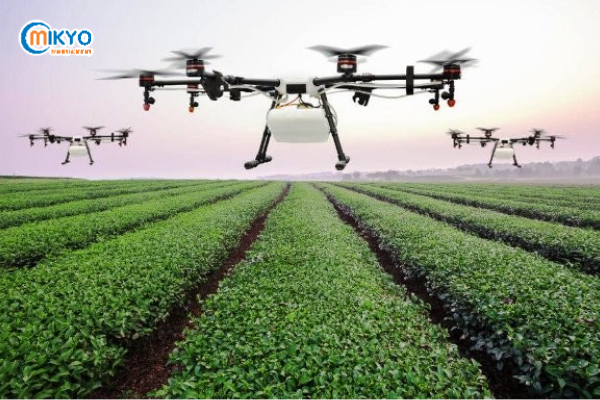 Robot điều khiển từ xa