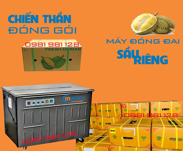 Máy đóng đai thùng sử dụng dành riêng cho đóng thùng sầu riêng