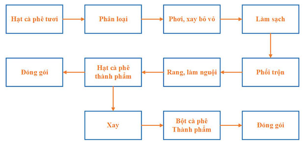 Quy trình sản xuất cafe 